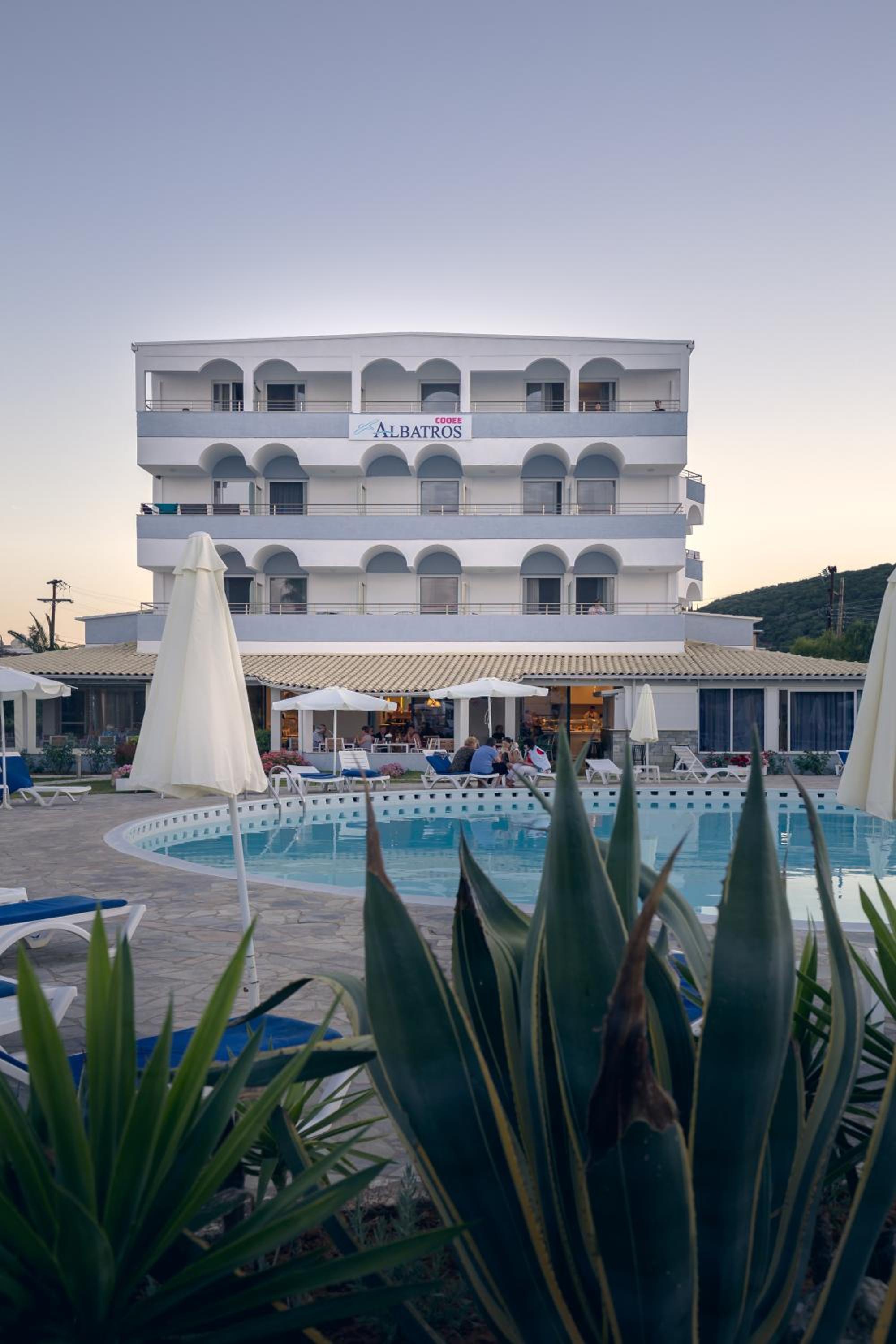 Albatros酒店(Albatros Hotel) 图片5