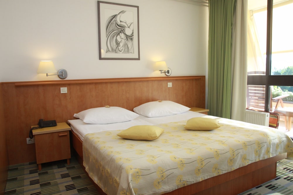 Hotel Svoboda - Terme Krka 16/45