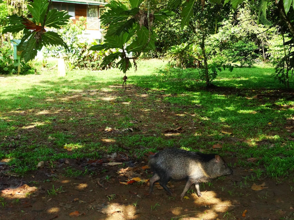 La Selva Biological Station 43/50