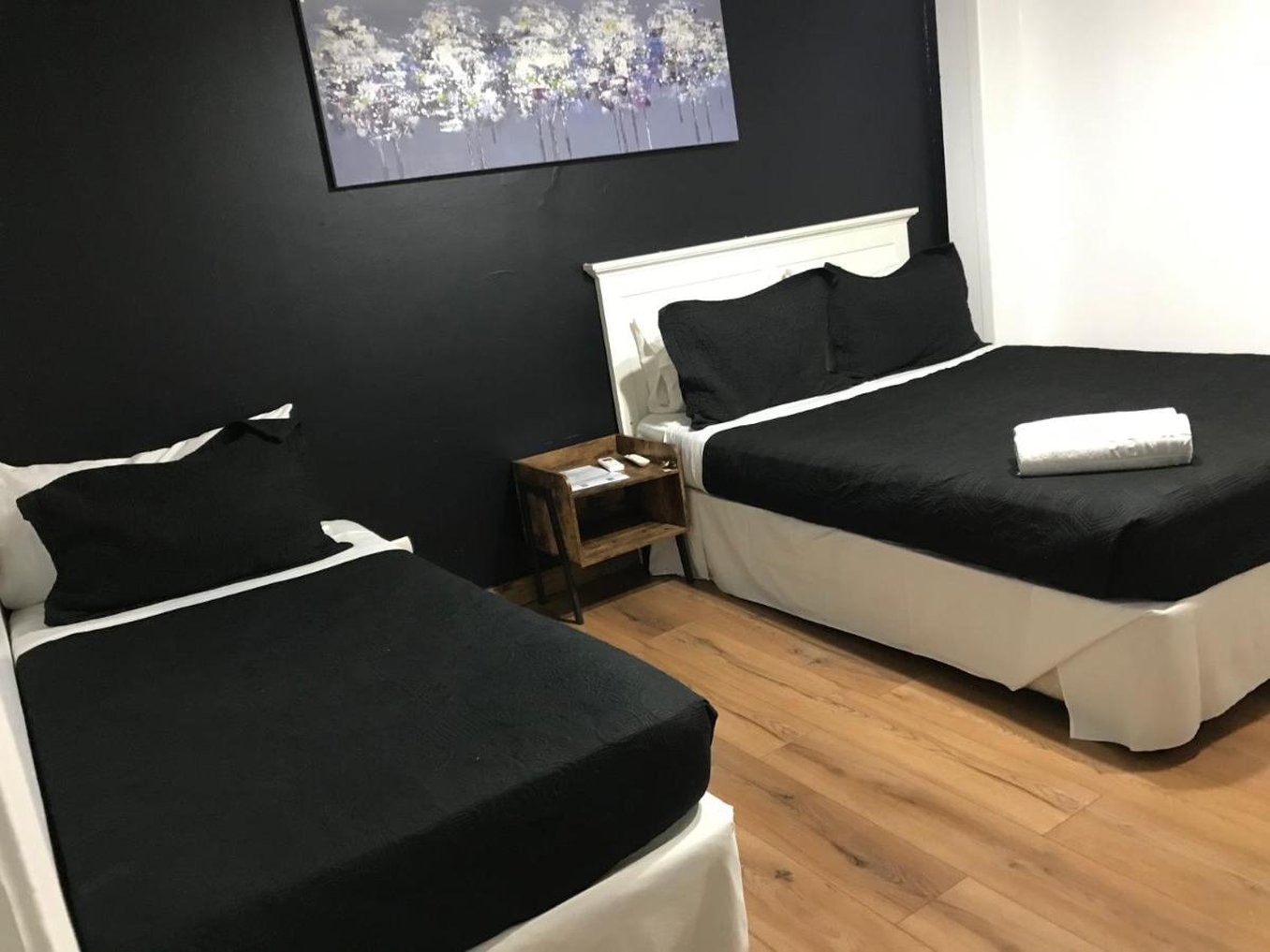 Boutique Tremo Bellas Artes 36/63