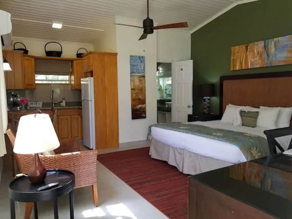 BLUE HORIZONS GARDEN RESORT 43/43
