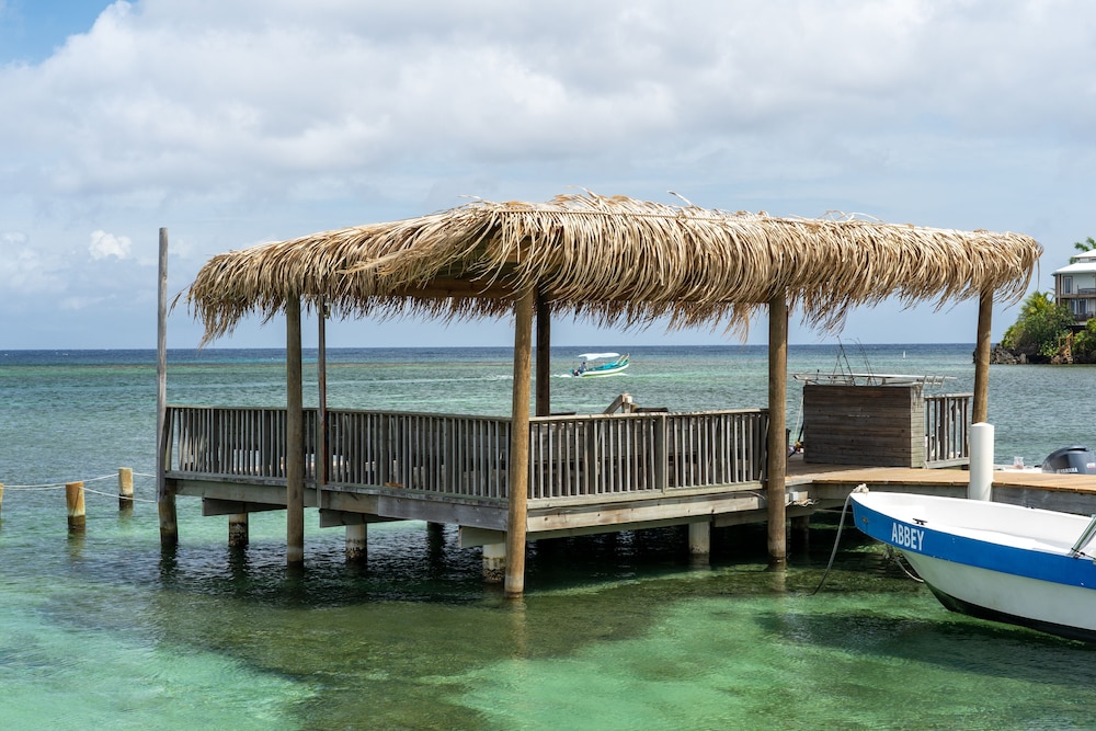 Splash Inn Dive Resort 28/38