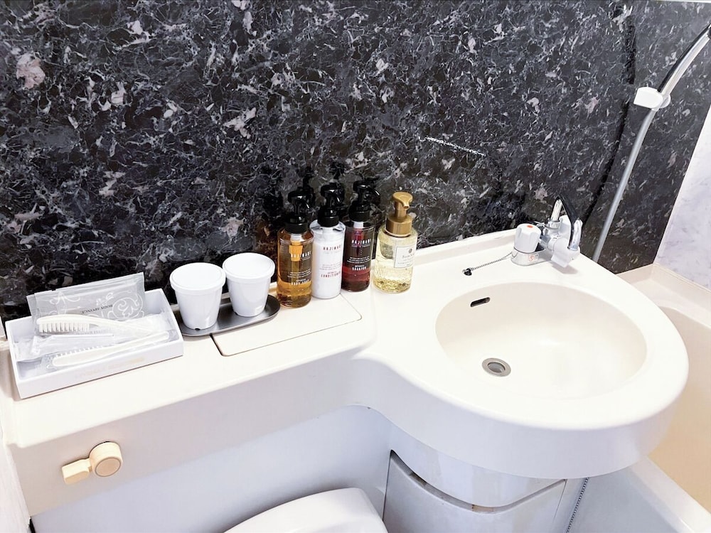 Hotel Livemax BUDGET Sagamihara 50/50