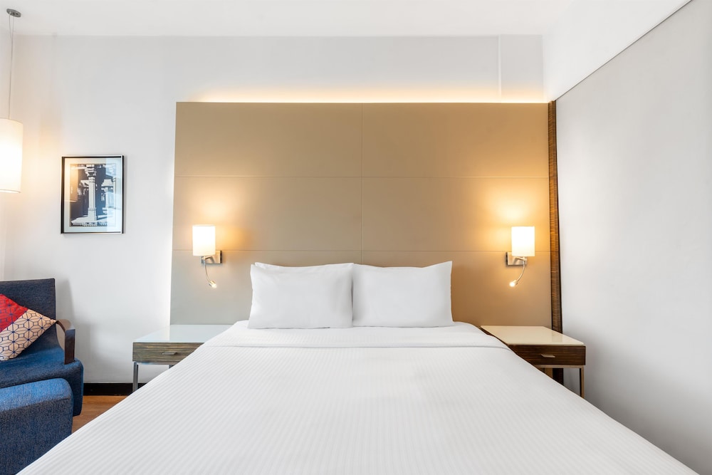 Park Plaza Delhi CBD Shahdara 16/72