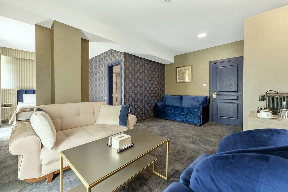 Hotel Sapphire Bakuriani 34/50