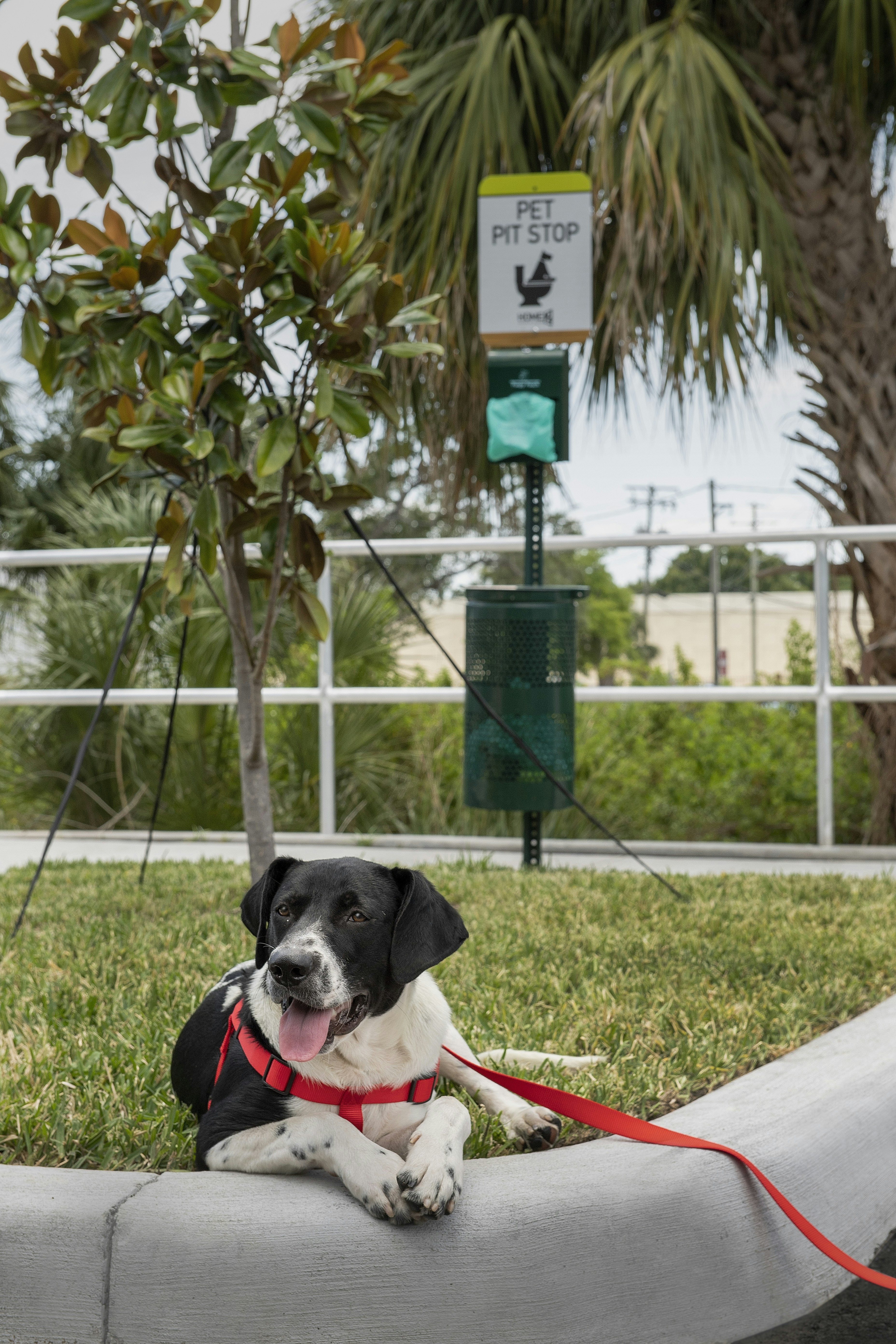 Home2 Suites by Hilton Tampa Westshore Airport 9/13