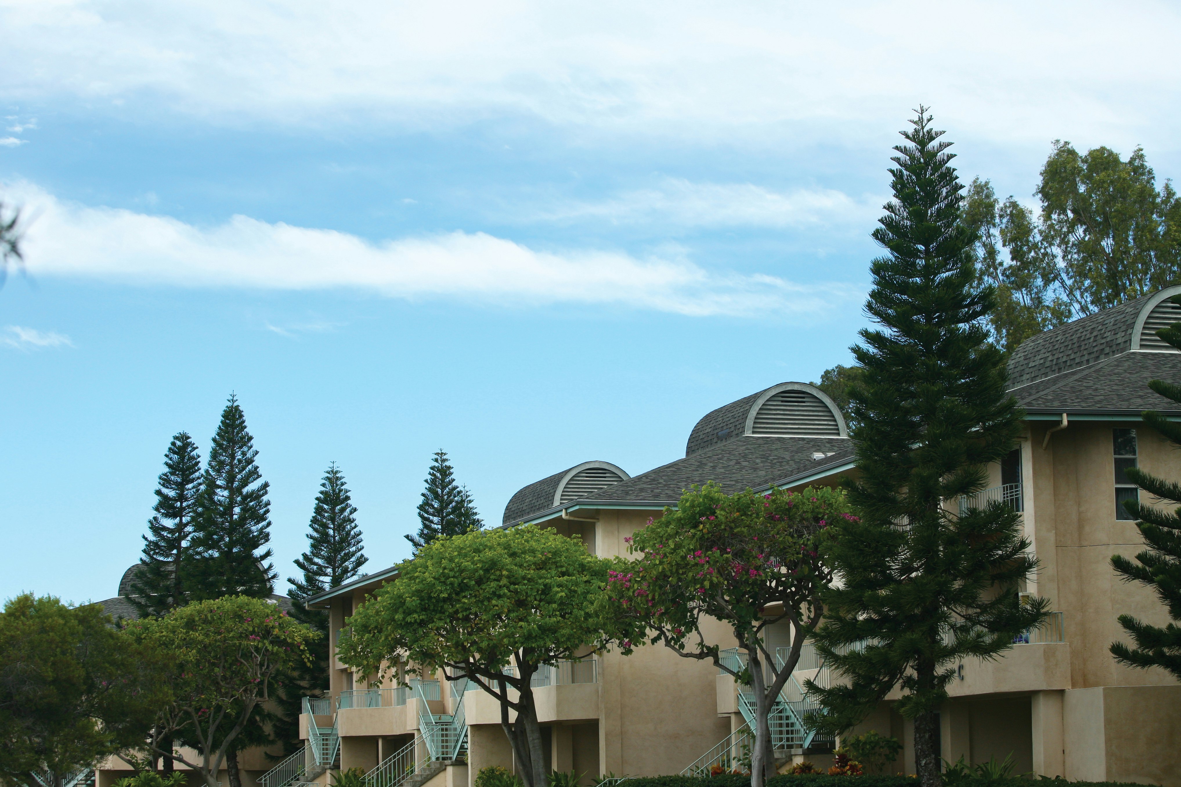 Paniolo Greens at Waikoloa Village 77/79