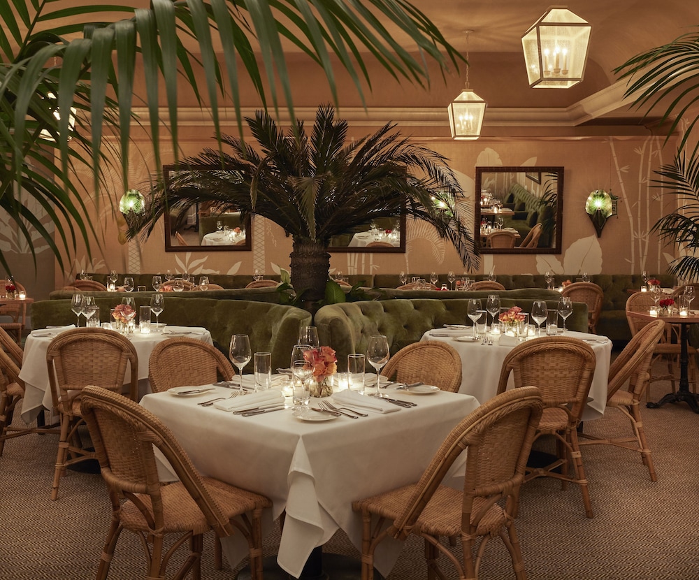 Colony Palm Beach 46/59