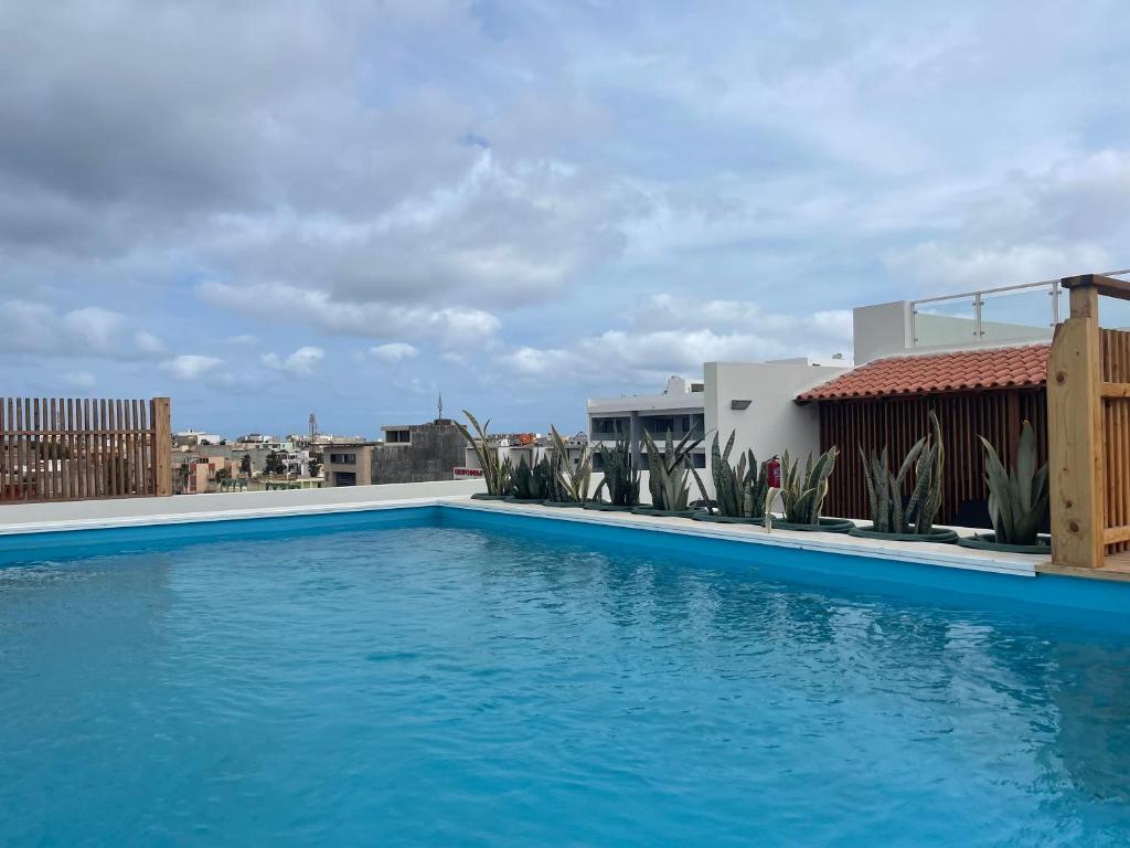 Oasis White Hotel 31/33