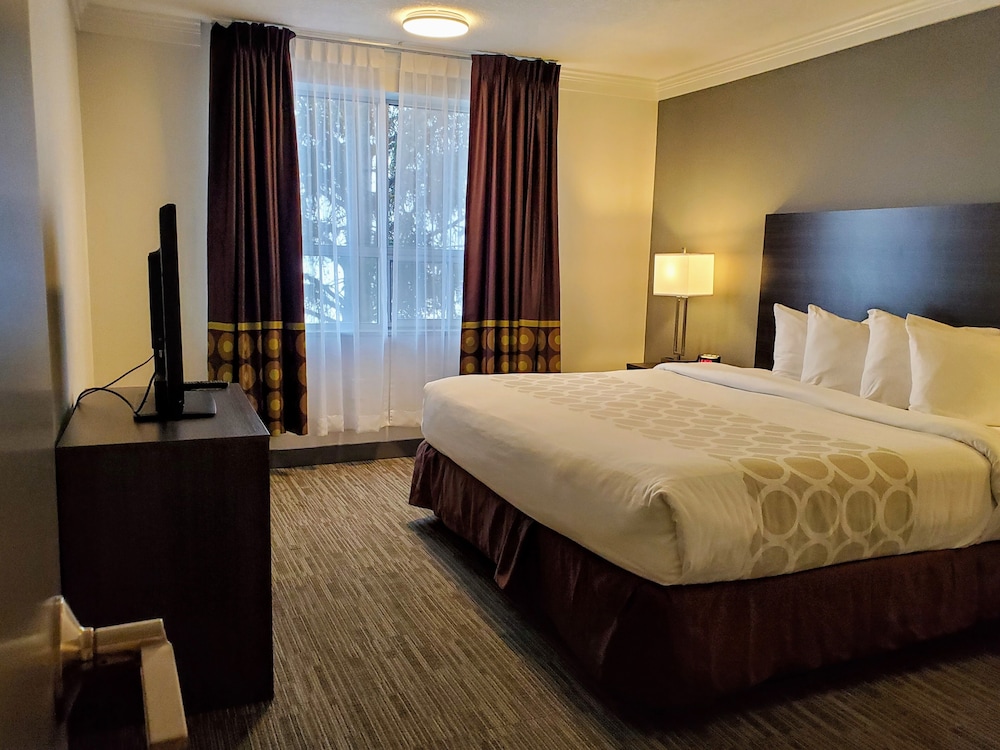 Atlantic, Suite, King Bed, Kitchen