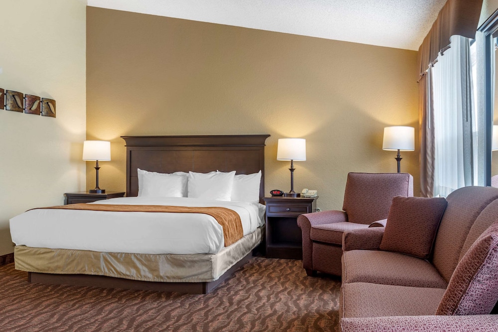 Comfort Inn at Thousand Hills 17/39