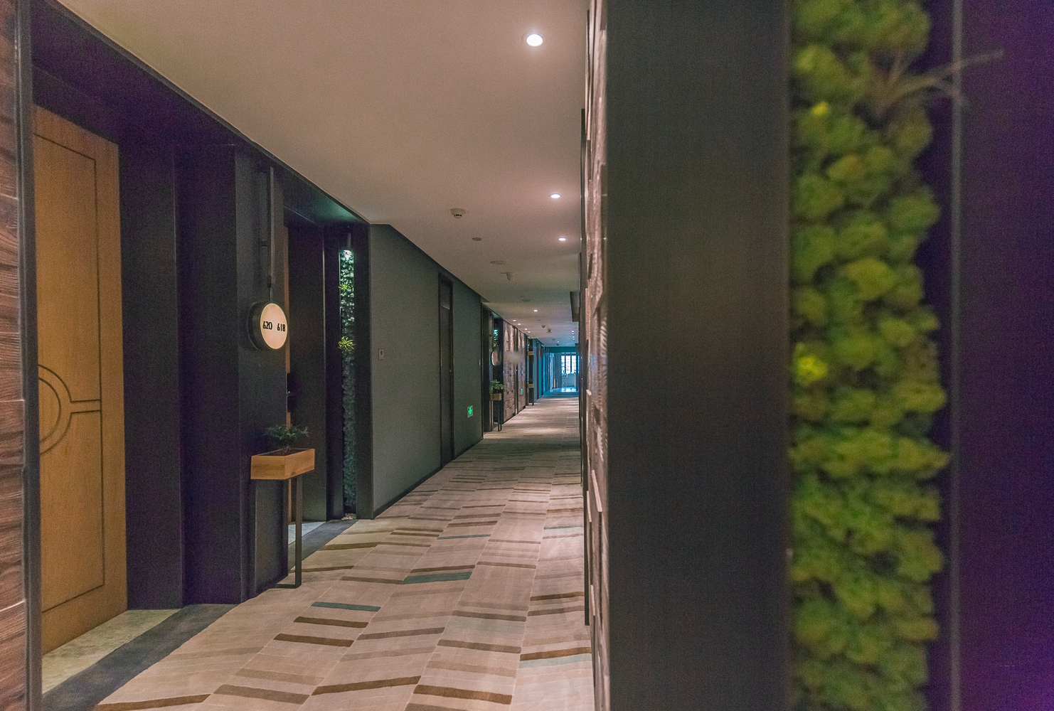 Cosy Park Hotel 52/58
