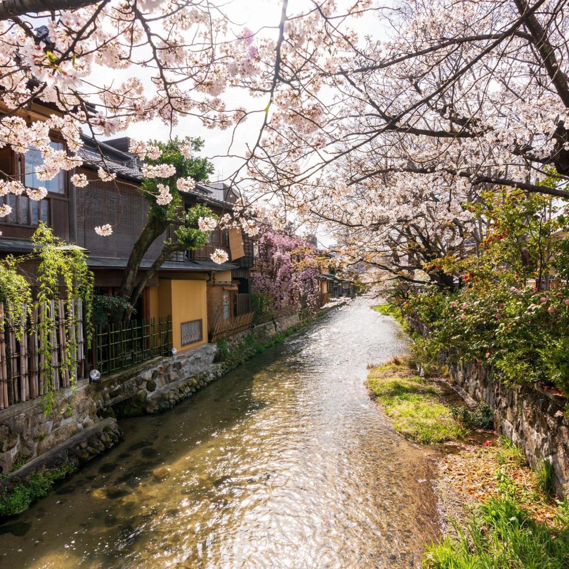 STITCH HOTEL Kyoto 43/50