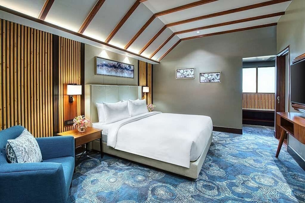 Radisson Blu Resort Dharamshala 23/79