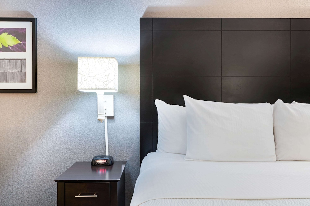 La Quinta Inn Suites By Wyndham Mesa Superstition Springs 19/52
