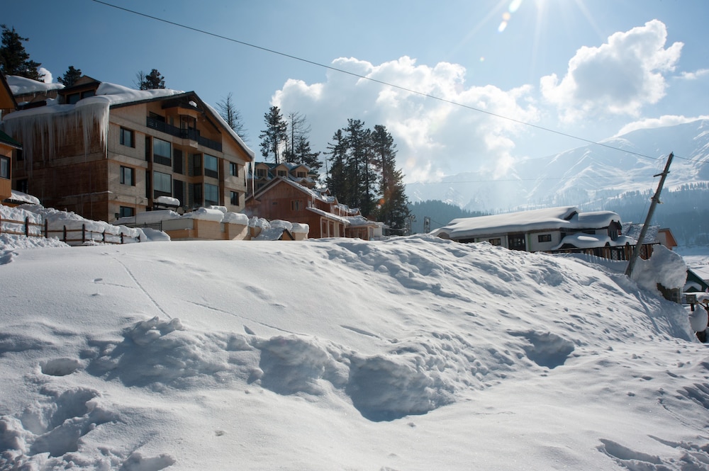THE VINTAGE GULMARG 45/48