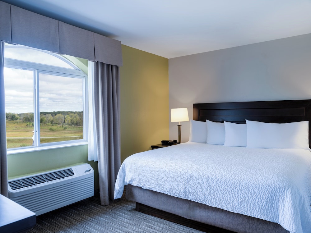Suite, King Bed, Bath and Shower