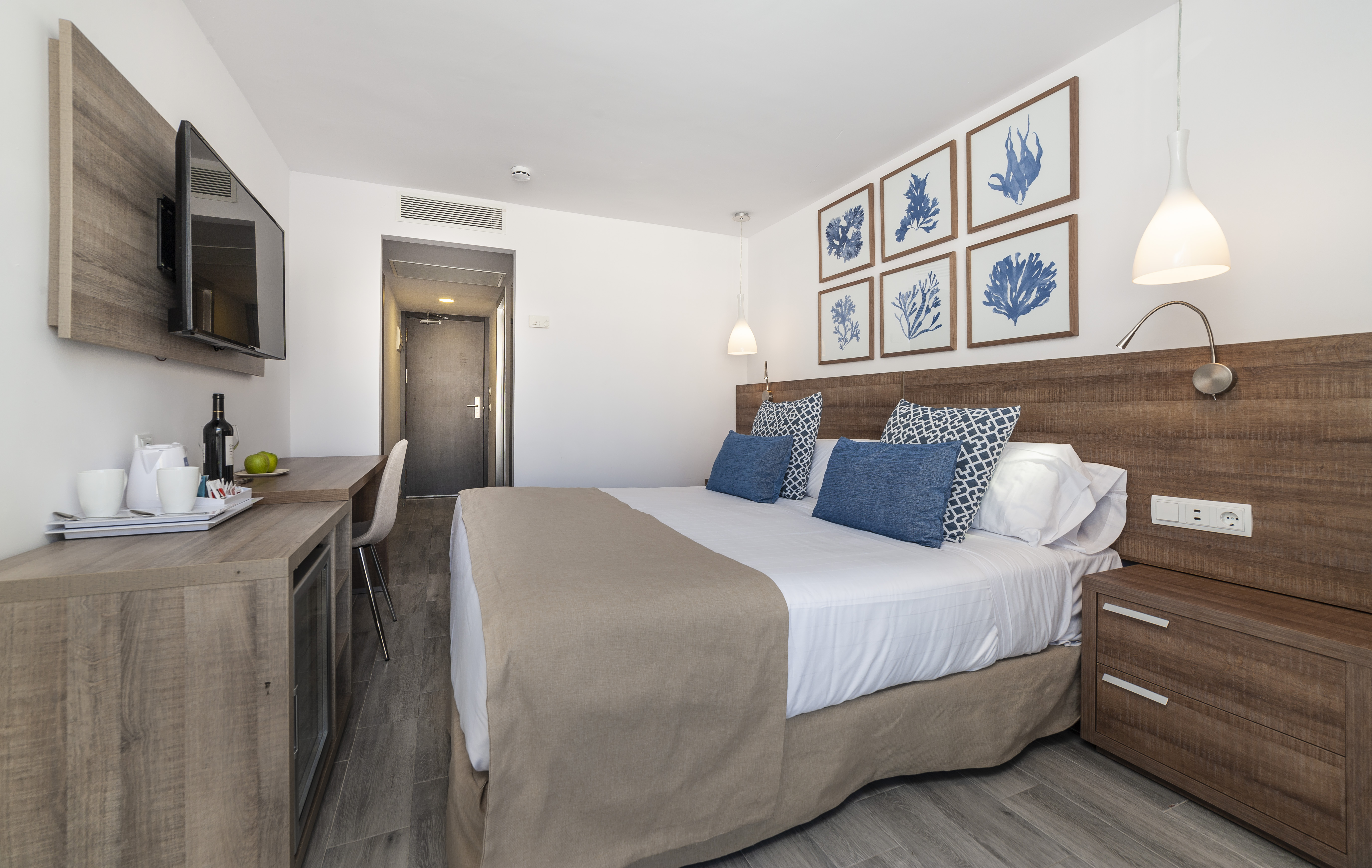 Globales Don Pedro - Adults Only 14/50