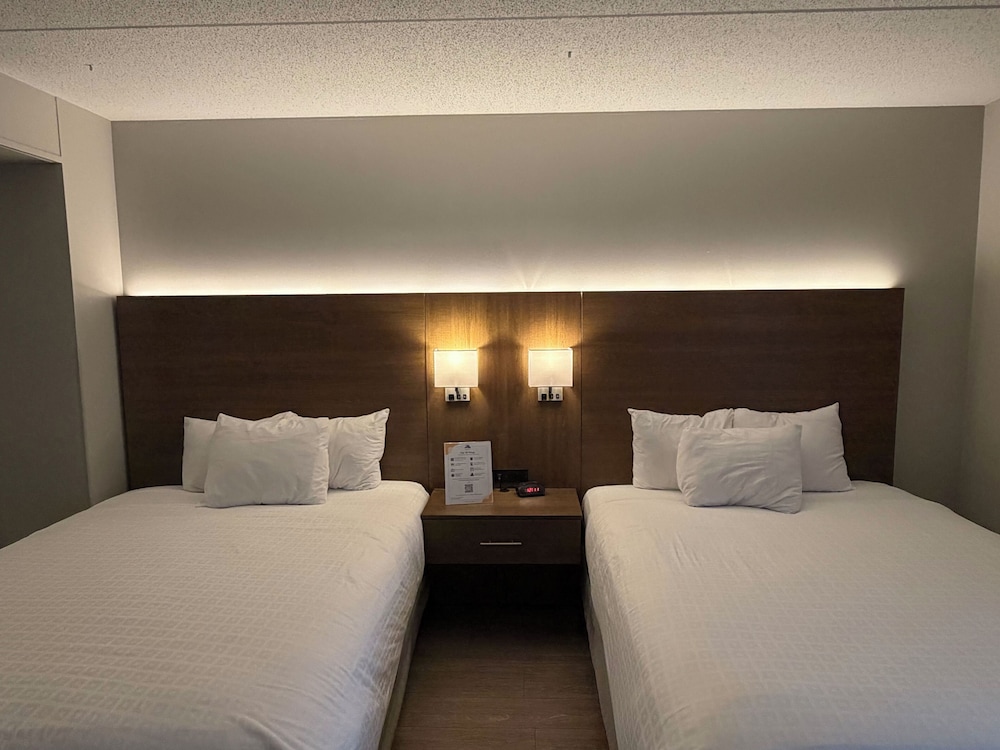 Superior Stay Hotel 19/56