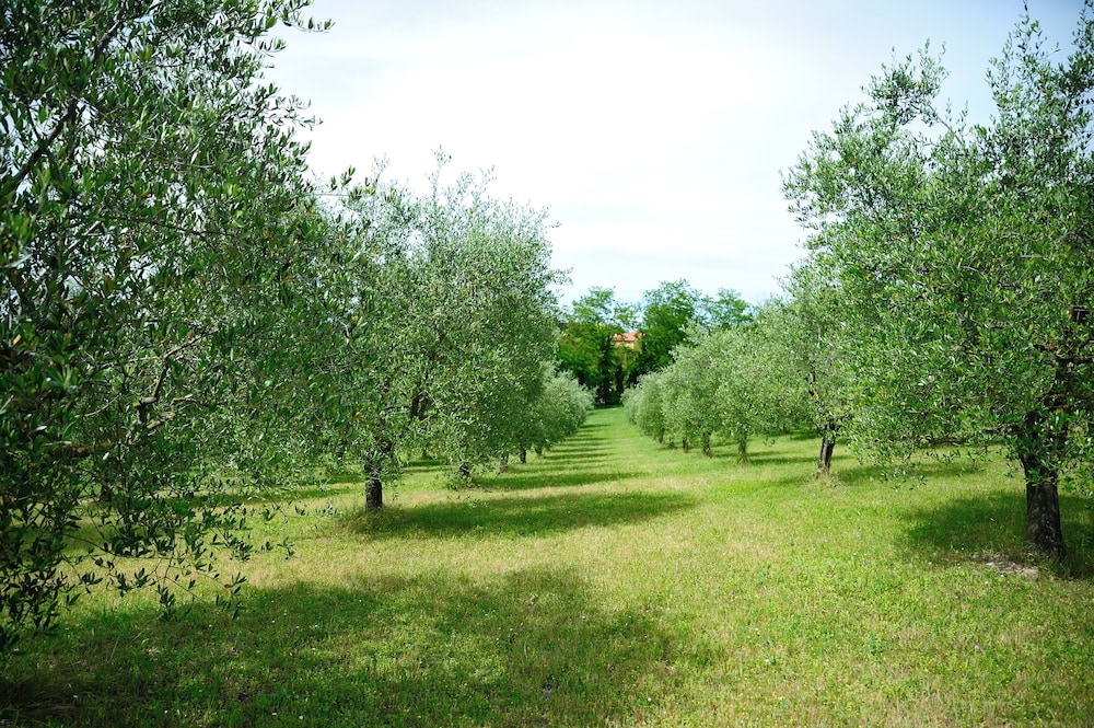 Agriturismo Al Colle 31/48
