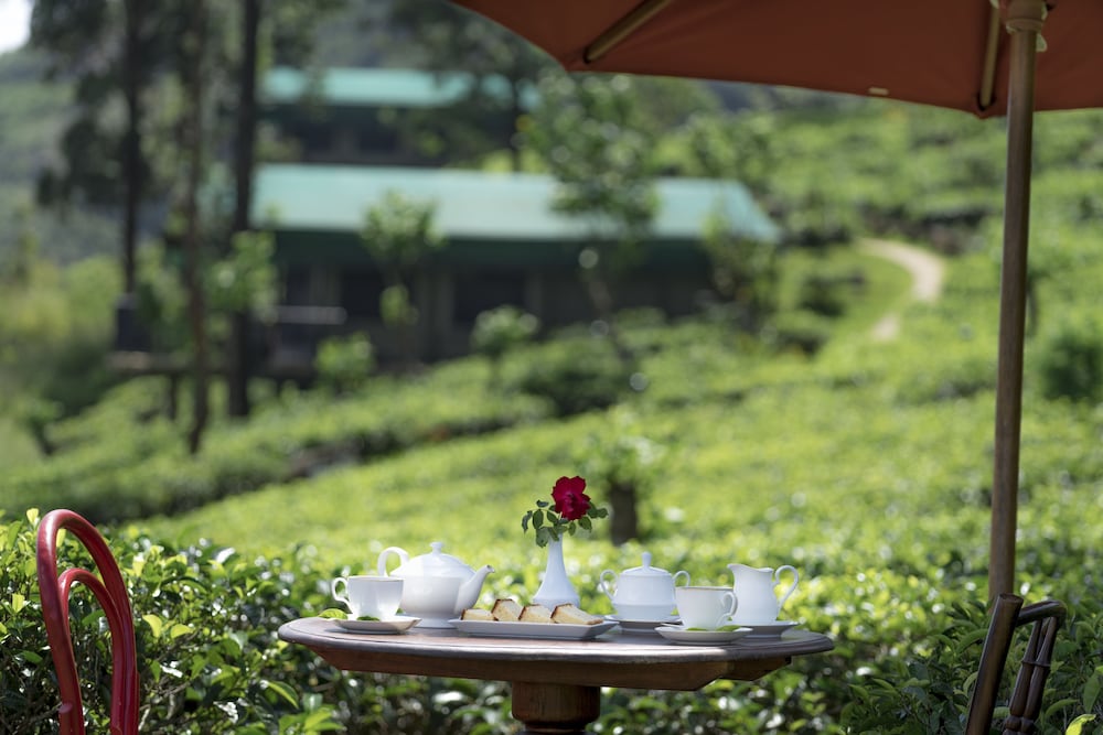 Madulkelle Tea And Eco Lodge 40/43