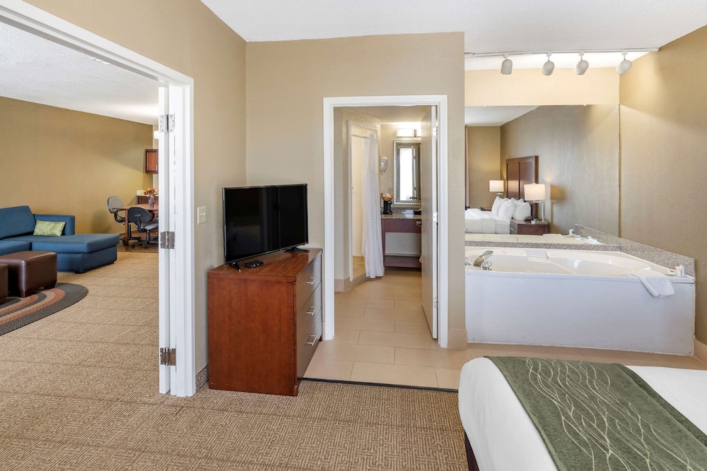 Comfort Inn and Suites Lincoln AL 27/61