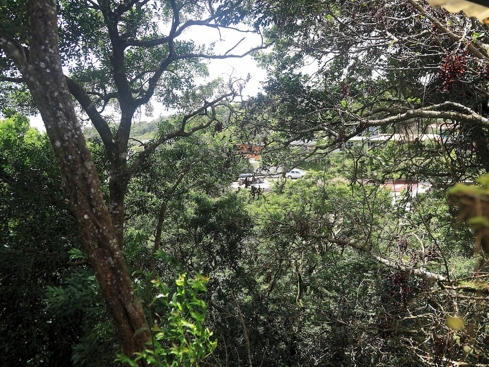 Jardines de Monteverde Hotel 44/50