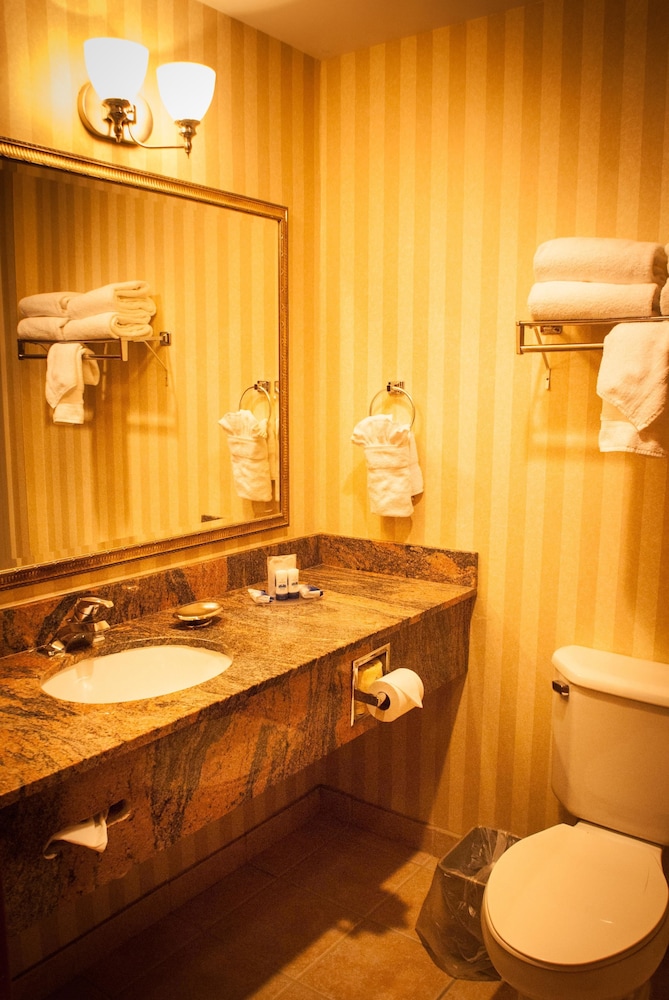 Best Western Plus Miami-Doral/Dolphin Mall 7/20