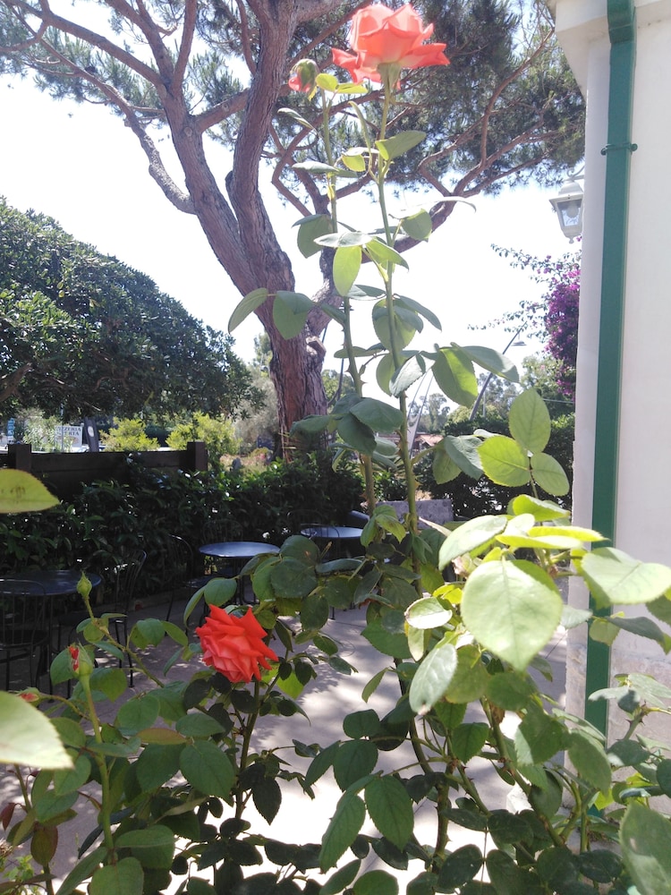 Hotel Rio Claro 38/50