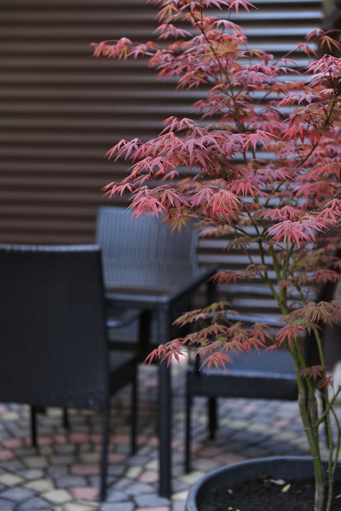 Yerevan Boutique Hotel 61/64