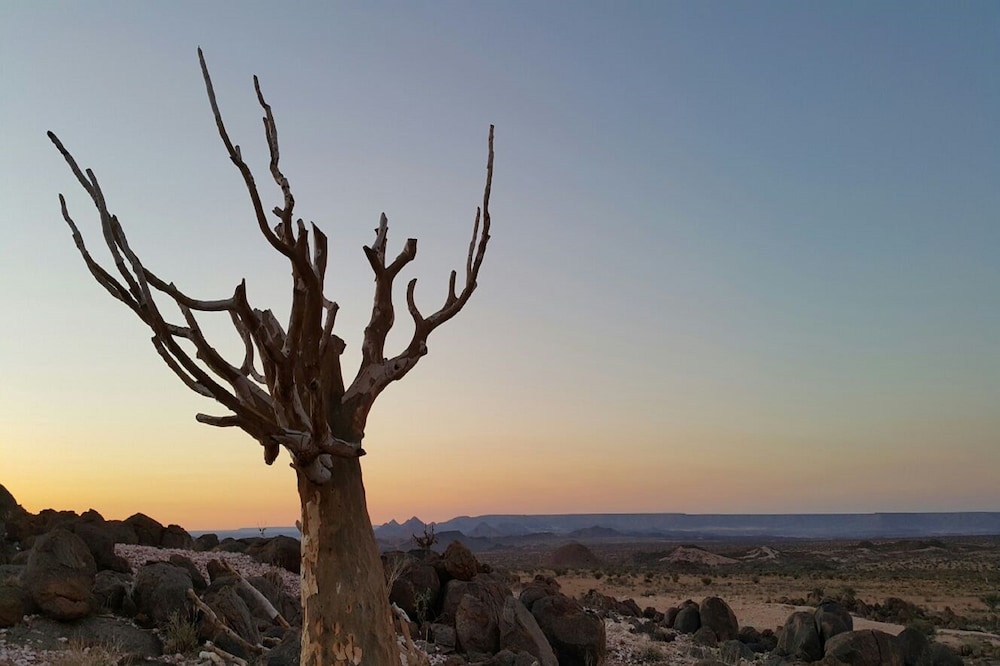 Tutwa Desert Lodge 35/50