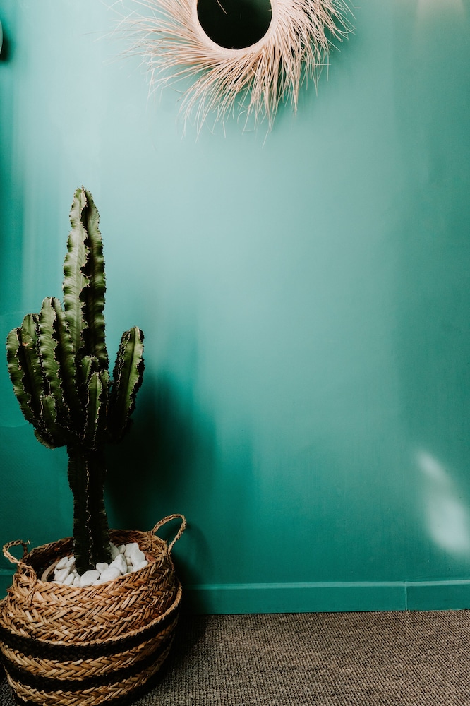 Palm Boutique Hotel Nice 27/50