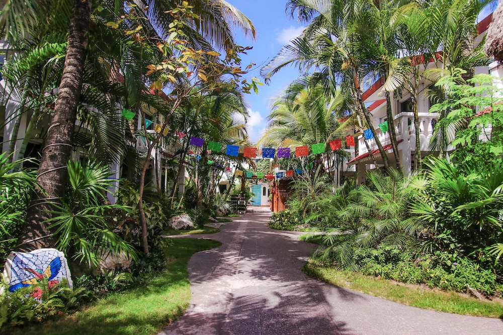 Hotel Villas Colibri Suites and Bungalows 39/50