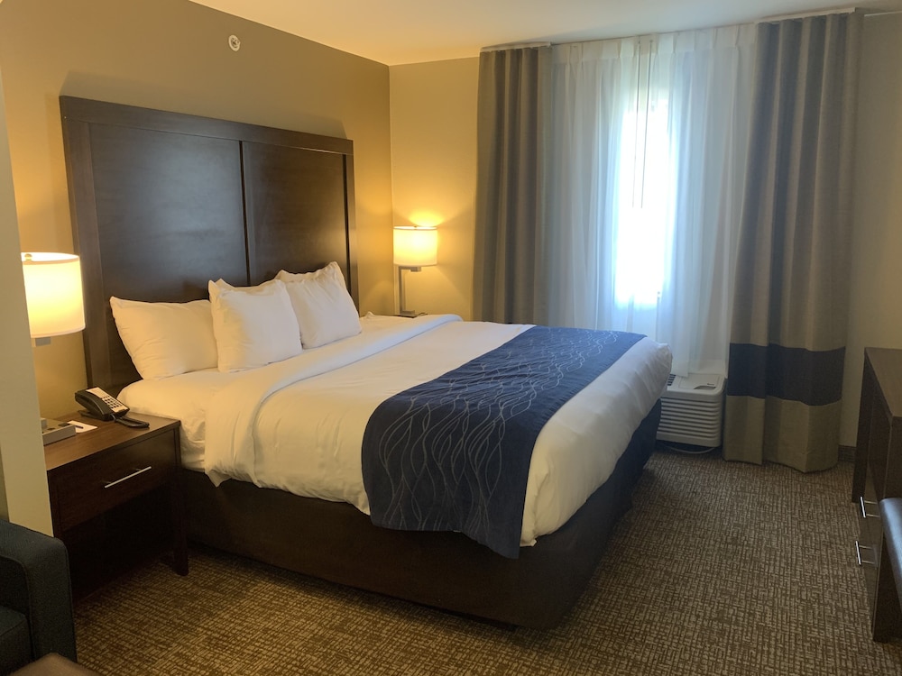 Comfort Inn and Suites Atoka 8/20