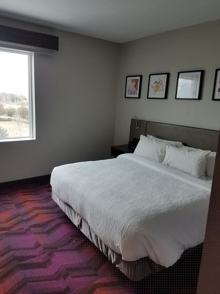 Hilton Garden Inn Tampa Suncoast Parkway 25/53