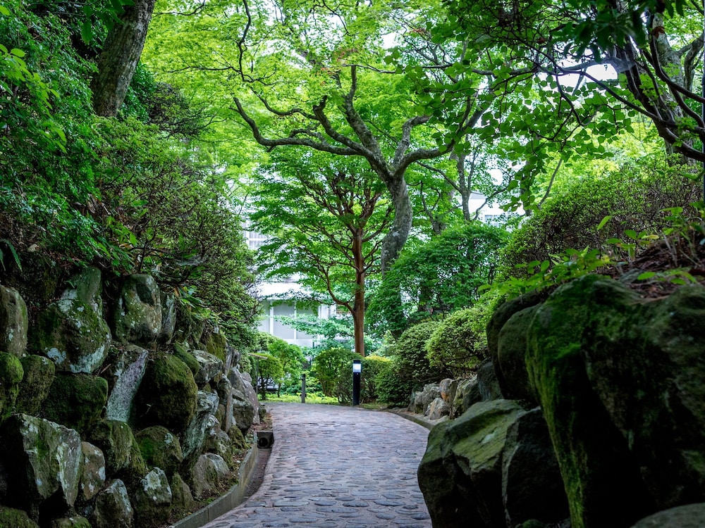 Tkp Lectore Hakone Gora 44/50