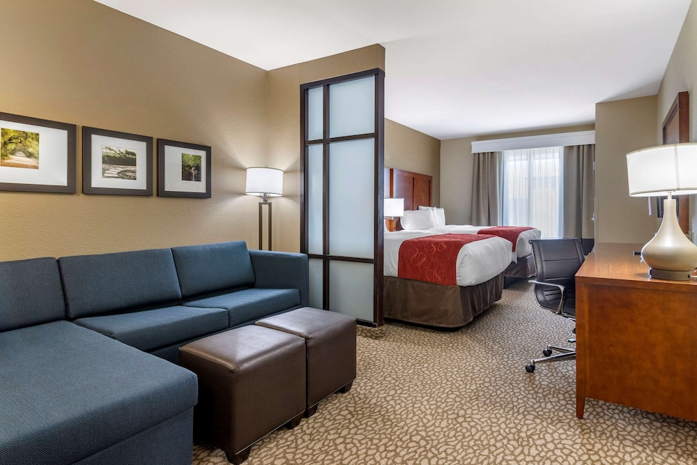 Comfort Suites Florence I-95 18/36