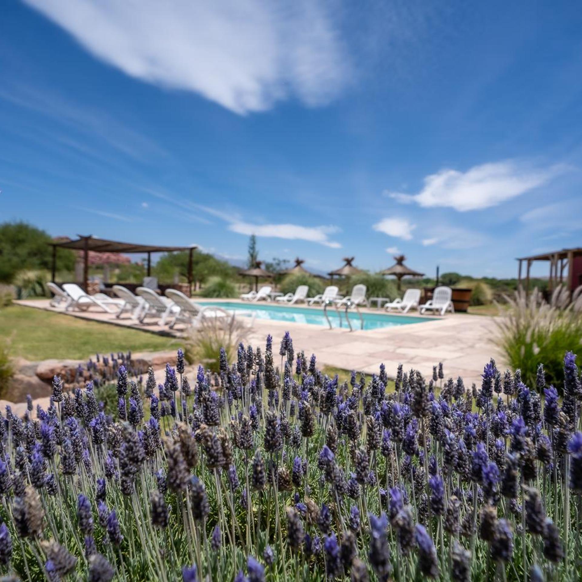 Hotel Castillos de Cafayate 29/50