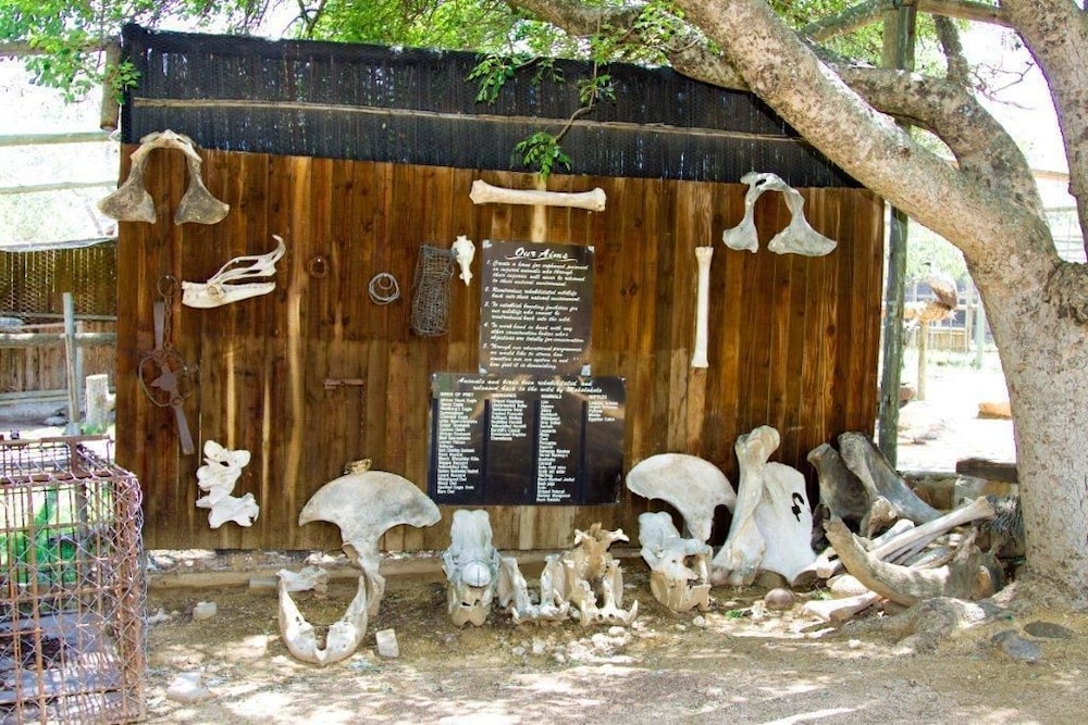 Sunbird Lodge - Guest House 12/40