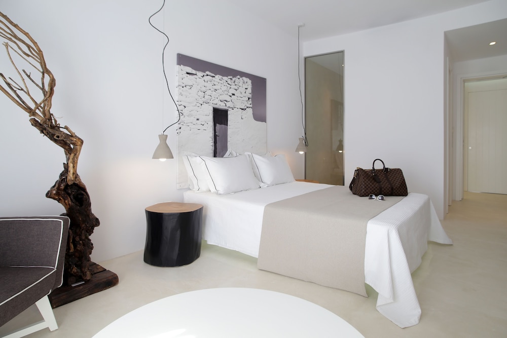 Livin Mykonos Boutique Hotel - Adults only 23/76