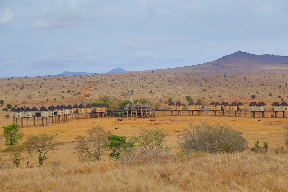 Salt Lick Safari Lodge 39/55