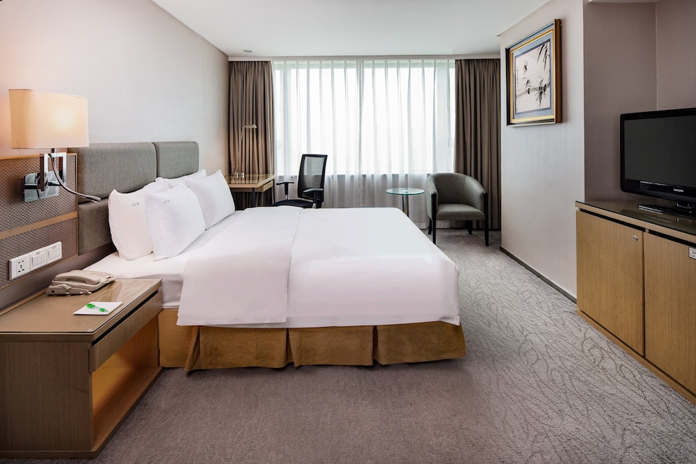 Holiday Inn Riverside 17/82