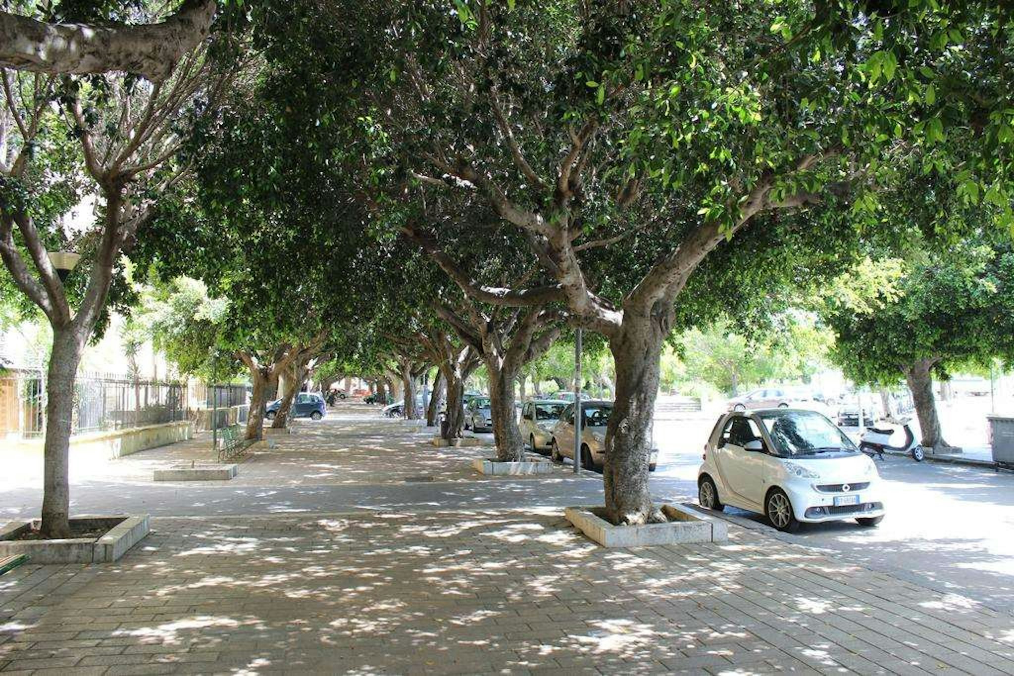 Del Viale 51/59