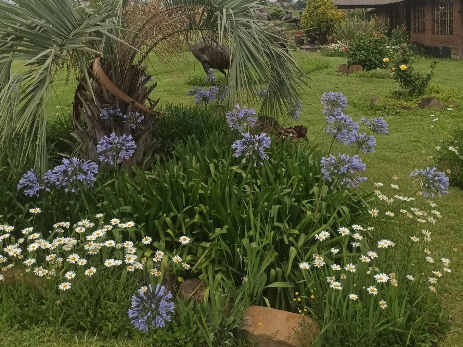 Linglela Lodge 25/37