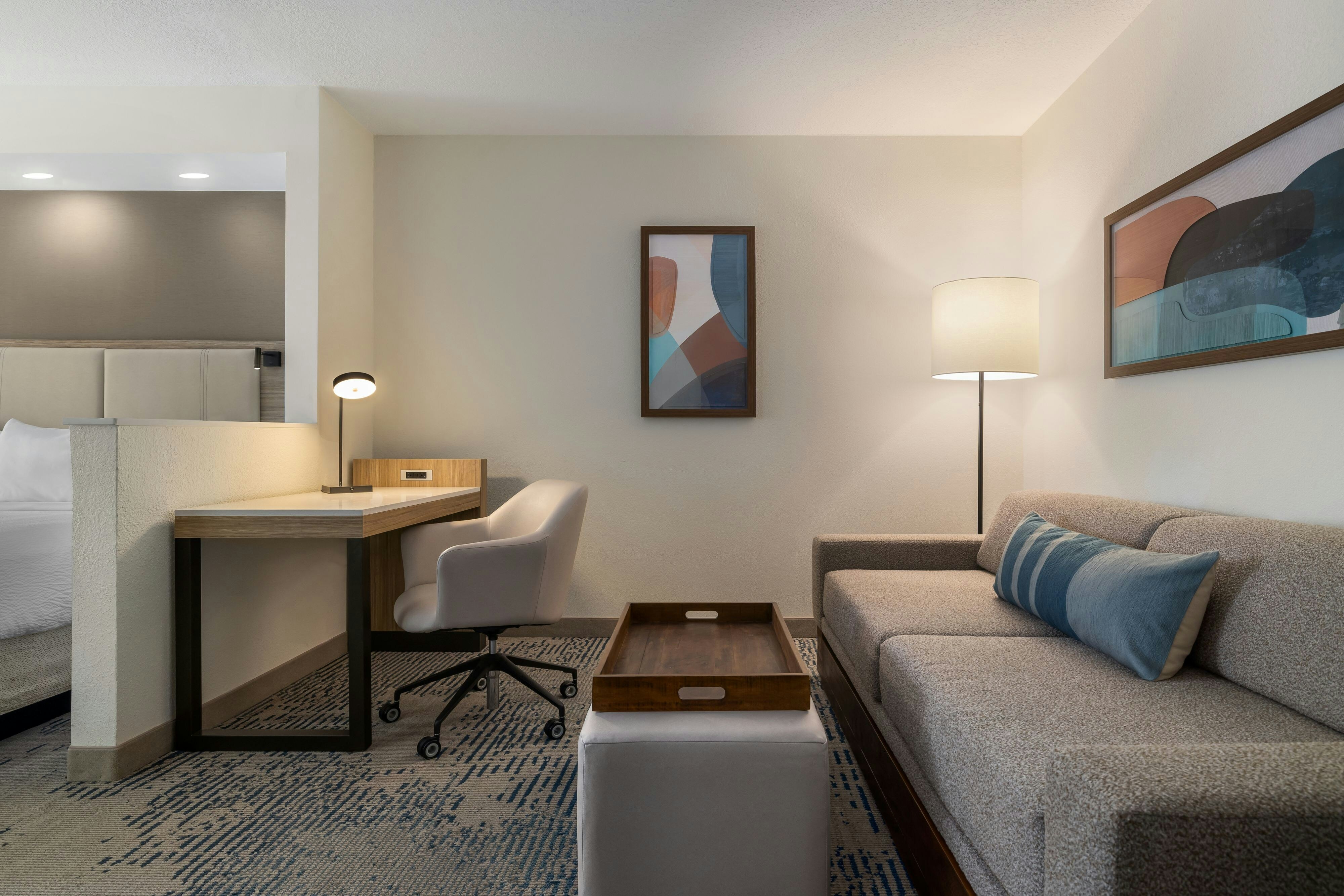 Springhill Suites Tampa Brandon 44/60