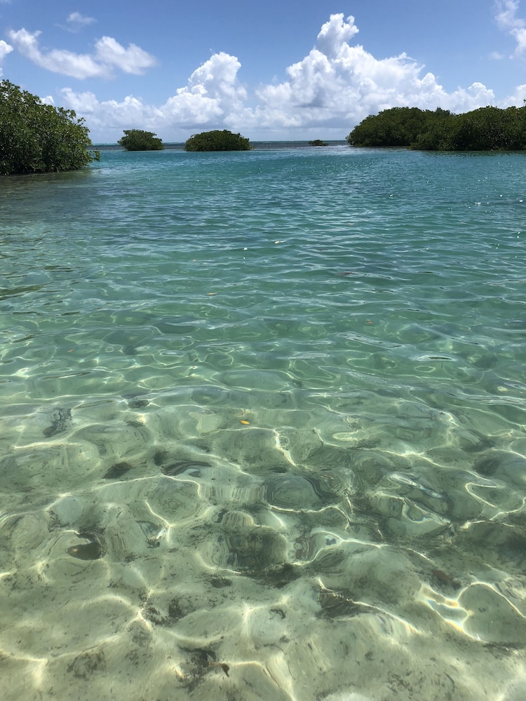 Shaka Caye 37/50