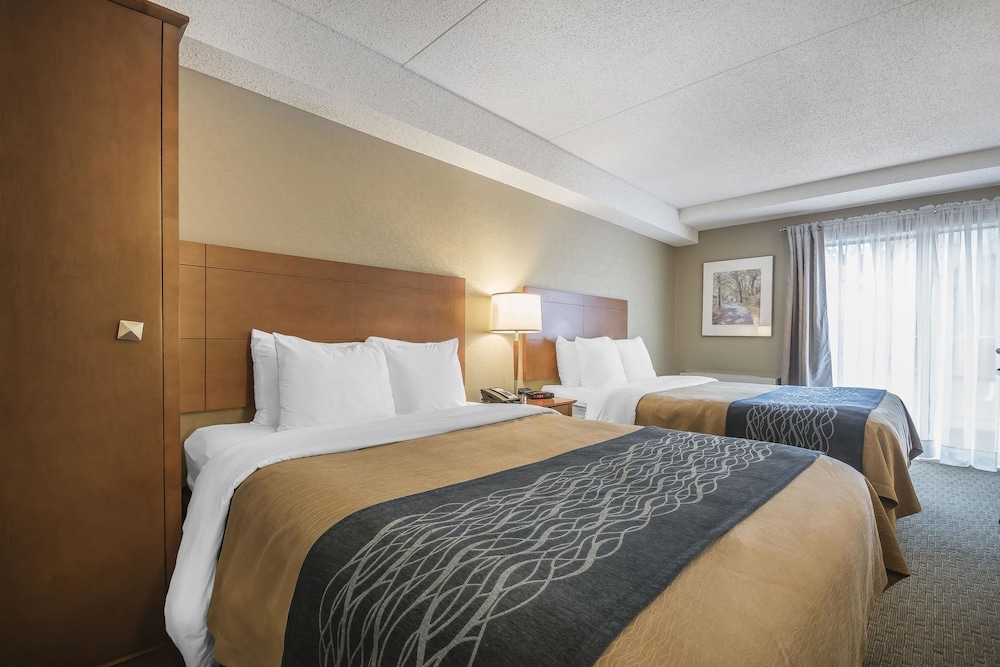 Comfort Inn Chilliwack, BC 13/44