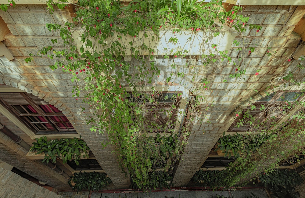 surroundings