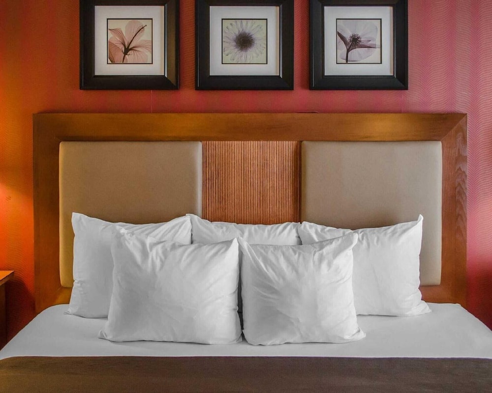 Hotel Hanna 11/50