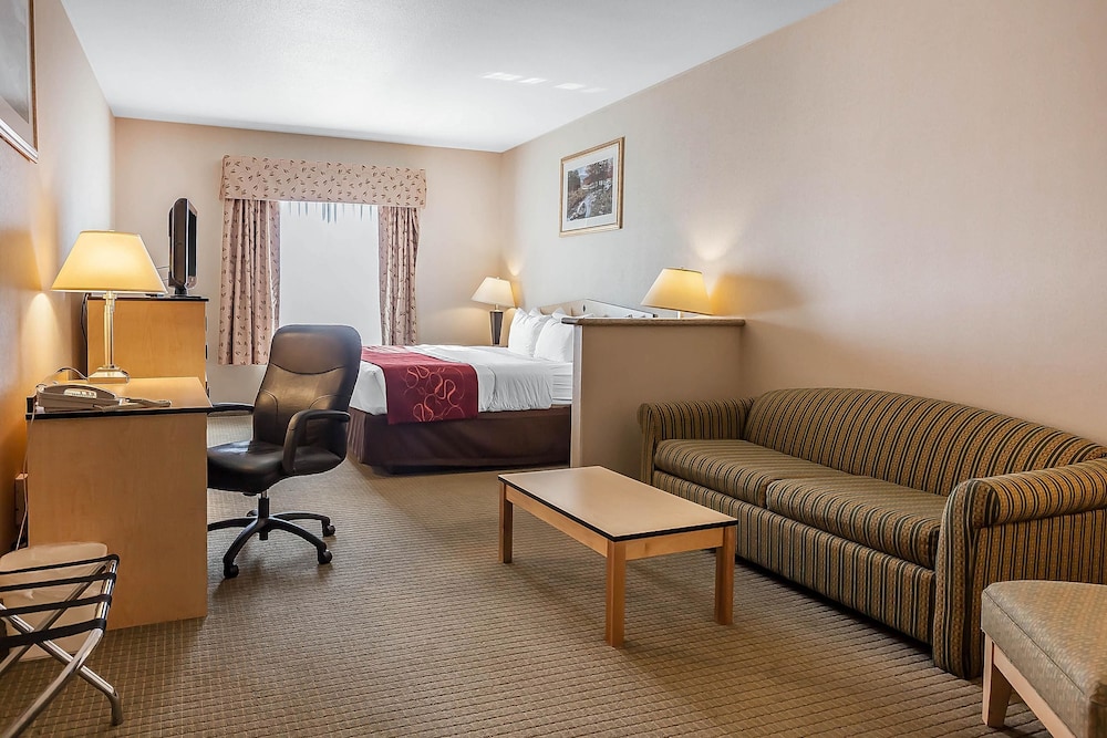 Comfort Inn & Suites Airport Convention Center 25/43